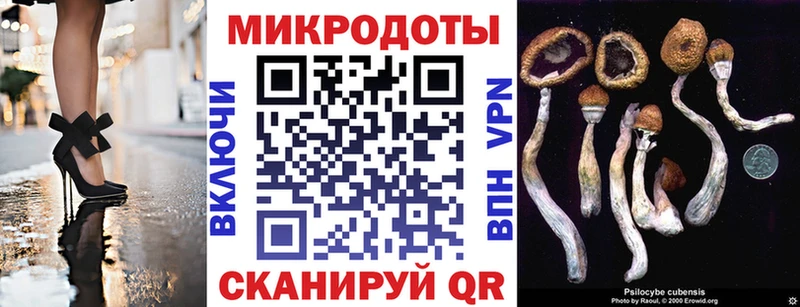 OMG вход  Кадников  Галлюциногенные грибы прущие грибы  наркота 